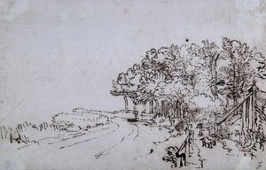 Copse at the head of the Amsteldijk near Trompenburg, c.1649 (pen & ink on paper) بواسطة رامبرانت هارمنز. فان راين