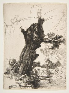 سانت جيروم بجانب بولارد ويلو ، 1648. بواسطة رامبرانت فان راين