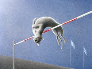 القفز بواسطة رينيه بوين