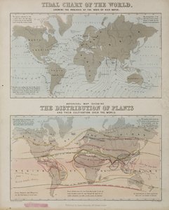 A tidal chart and a map of the distribution of plants across the world, c 1850 بواسطة ريتشارد (بعد) داد