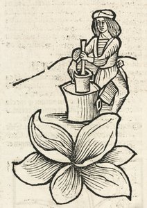 Medieval Man using a pestle and mortar to crush plants بواسطة ريتشارد (بعد) داد