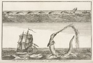 The great Sea Serpent, according to different Descriptions