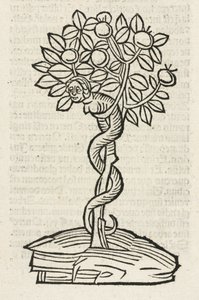 The serpent in the tree of knowledge بواسطة ريتشارد (بعد) داد