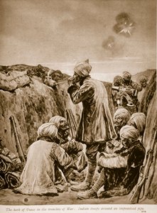 عشب السلام في خنادق الحرب 1914-1919