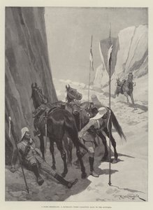 A Dumb Messenger ، حصان Riderless يركض إلى الدعم