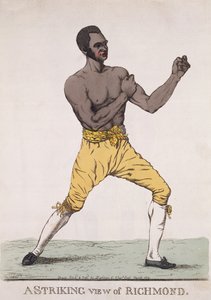 منظر مدهش لريتشموند ، نشر عام 1810 (النقش الملون) بواسطة ريتشارد دايتون