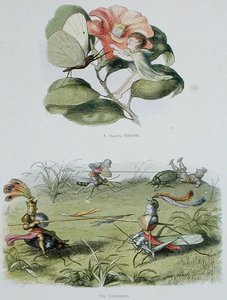 الفراشة الراقصة والبطولة ، الرسوم التوضيحية من "In Fairyland: A Series of the Elf-World" بواسطة William Allingham و Andrew Lang (color litho) بواسطة ريتشارد دويل