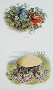 التسلق والإعادة ، الرسوم التوضيحية من "In Fairyland: A Series of the Elf-World" بواسطة William Allingham and Andrew Lang (color litho) بواسطة ريتشارد دويل
