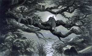الجنيات والحوريات والجان يستريحون في ضوء القمر على فرع؟ رسم توضيحي لـ "" في Fairyland. سلسلة من الصور من عالم الجان بقلم ريتشارد دويل 1869-1870 مرجع مؤسسة المكتبة البريطانية: معرف علامة الرف: 1876 e18 