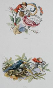 المغازلة والسرقة ، الرسوم التوضيحية من "In Fairyland: A Series of the Elf-World" by William Allingham and Andrew Lang (color litho) بواسطة ريتشارد دويل