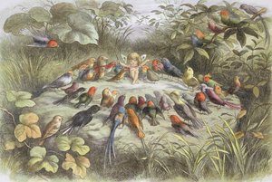 بروفة موسيقية في أرض الجنيات (رسم توضيحي من quot;في أرض الجنيات. صور من عالم الجنياتquot;، بقلم ويليام ألينجهام وأندرو لانج