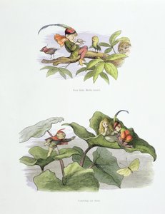 مثار بيردي الصغير المسكين ، وقطع الخطوبة القصيرة ، الرسوم التوضيحية من "في Fairyland: سلسلة من الصور من Elf-World" من تأليف William Allingham و Andrew Lang بواسطة ريتشارد دويل