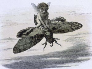 Un elfe chevauchant un papillon. تصوير دي ريتشارد دويل تيري دي "" في أرض الجنية. سلسلة من الصور من عالم قزم "" المرافق دون بويم دي دبليو ألينجهام. 1869-1870. مرجع مؤسسة المكتبة البريطانية: معرف علامة الرف: 1876 e18 