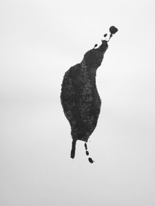  بواسطة ريتشارد جرين