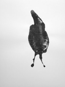  بواسطة ريتشارد جرين