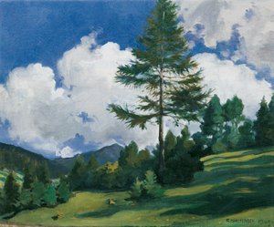 عزر بالقرب من Dobbiaco بواسطة ريتشارد هارلفينغر