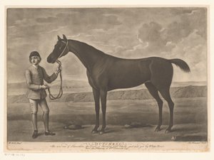 التقى Racepaard مع الفارس دتشيس بواسطة ريتشارد هيوستن