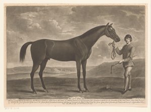 التقى Racepaard مع الفارس ماتشيم (العنوان على الكائن)