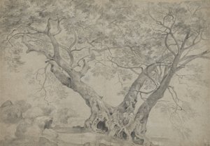 Arbra Sacra على ضفاف بحيرة Nemi ، حوالي 1754-56 (طباشير أسود وأبيض على ورق) بواسطة ريتشارد ويلسون