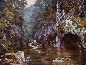 Fairy Glen ، Bettws-y-Coed (لون ليثو) بواسطة روبرت (بعد) فاولر