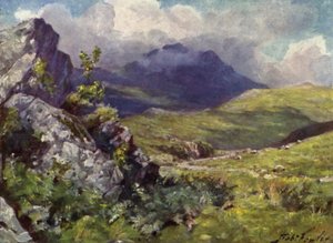 عرض Moelwyn (لون litho) بواسطة روبرت (بعد) فاولر