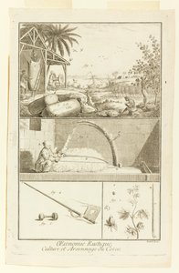"Cultivation et Arsonnage du Coton" من موسوعة ديدرو ، المجلد. أنا بواسطة لويس جاك جوسيير