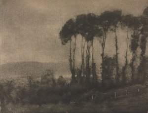 عمل الكاميرا: Toucques Valley بواسطة روبرت ديماشي