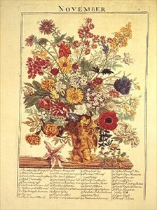 تشرين الثاني (نوفمبر) من "حديقة الزهور المعروضة" بواسطة Robert Furber