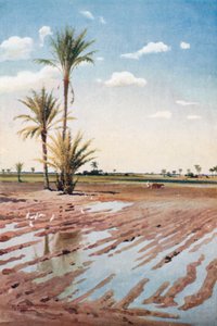  بواسطة روبرت جورج تالبوت كيلي
