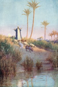  بواسطة روبرت جورج تالبوت كيلي