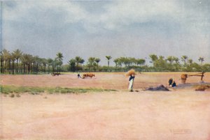 Esbet-El-Ekiad - Land of Goshen، c1880، 1904