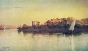 فيلة ، c1880 ، 1904