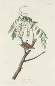 تشيبينج سبارو ، 1831. بواسطة روبرت هافيل