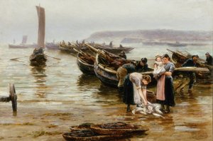 سي فريت ، ج 1884