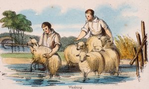 "غسل" ، c1845