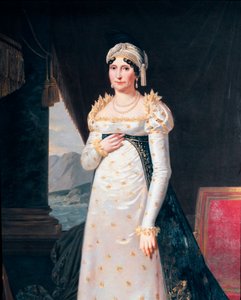 صورة لاتيتيا بونابرت (ليتيسيا ماريا رامولينو) (1750-1836) ، والدة نابليون بونابرت التفاصيل. لوحة روبرت لوفيفر (1755-1830) متحف نابليونيكو ، روما بواسطة روبرت ليفيفر