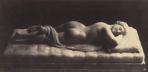 الخنثى ، كاليفورنيا. 1861. بواسطة روبرت ماكفيرسون