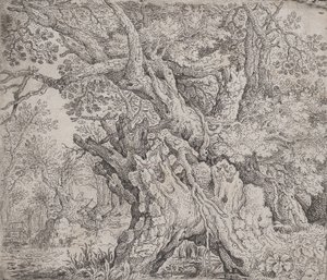 شجرة Gnarled ، كاليفورنيا. 1608-09. بواسطة Roelandt Savery
