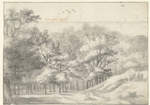 عرض في Haagse Bos