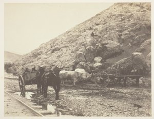 مواشي وعربات مغادرة بالاكلافا 1855. بواسطة روجر فينتون