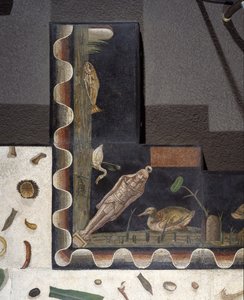 "Asarotos" (الأرض غير مكسورة) شظايا فسيفساء موقعة من Harakliton من روما ، القرن الثاني الميلادي ، روما بواسطة رواية