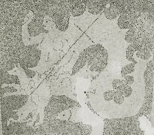 فسيفساء الهلنستية حصاة من Scylla و Charybdis تحرس المضيق ، تفاصيل Scylla. بيت ديونيسوس ، بافوس ، فسيفساء قبرص بواسطة رواية