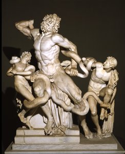 Laocoön and His Sons (marble) بواسطة رواية
