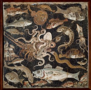الفن الروماني: فسيفساء "الحيوانات البحرية" من القرن الثاني. نابولي ، Museo Archeologico Nazionale ، الجرد. 120177 - الفن الروماني: الحياة البحرية. فسيفساء من القرن الثاني قبل الميلاد. المتحف الأثري الوطني ، رقم الجرد. 120177 ، نابولي ، إيطاليا. بواسطة رواية