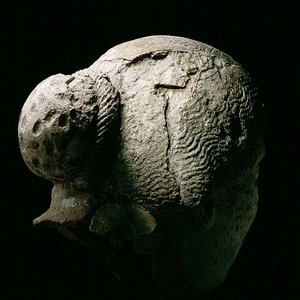 منظر خلفي لرأس امرأة ، القرن الثاني أو الثالث الميلادي (جص) (انظر أيضًا 270971-973) بواسطة الفترة الرومانية المصرية