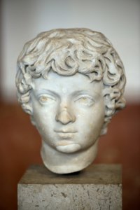 فن روما رأس الإمبراطور الروماني كركلا الطفل (188 - 217 م) بواسطة رومان رومان