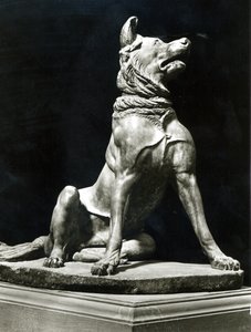 Bullmastiff Dog (رخام) بواسطة رومان رومان