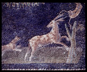 تفاصيل فسيفساء الجدار من nymphaeum of the casa di Nettuno e Anfitrite ، القرن الخامس قبل الميلاد - القرن الأول الميلادي بواسطة رومان رومان