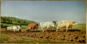 لو plowing nivernais ، le sombrage لوحة لماري روزالي بونور ديت روزا بونور (1822-1899) 1849 صن. 1.3x2.6 م باريس ، متحف أورساي بواسطة بينك بونور