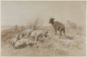 خروف بواسطة بينك بونور